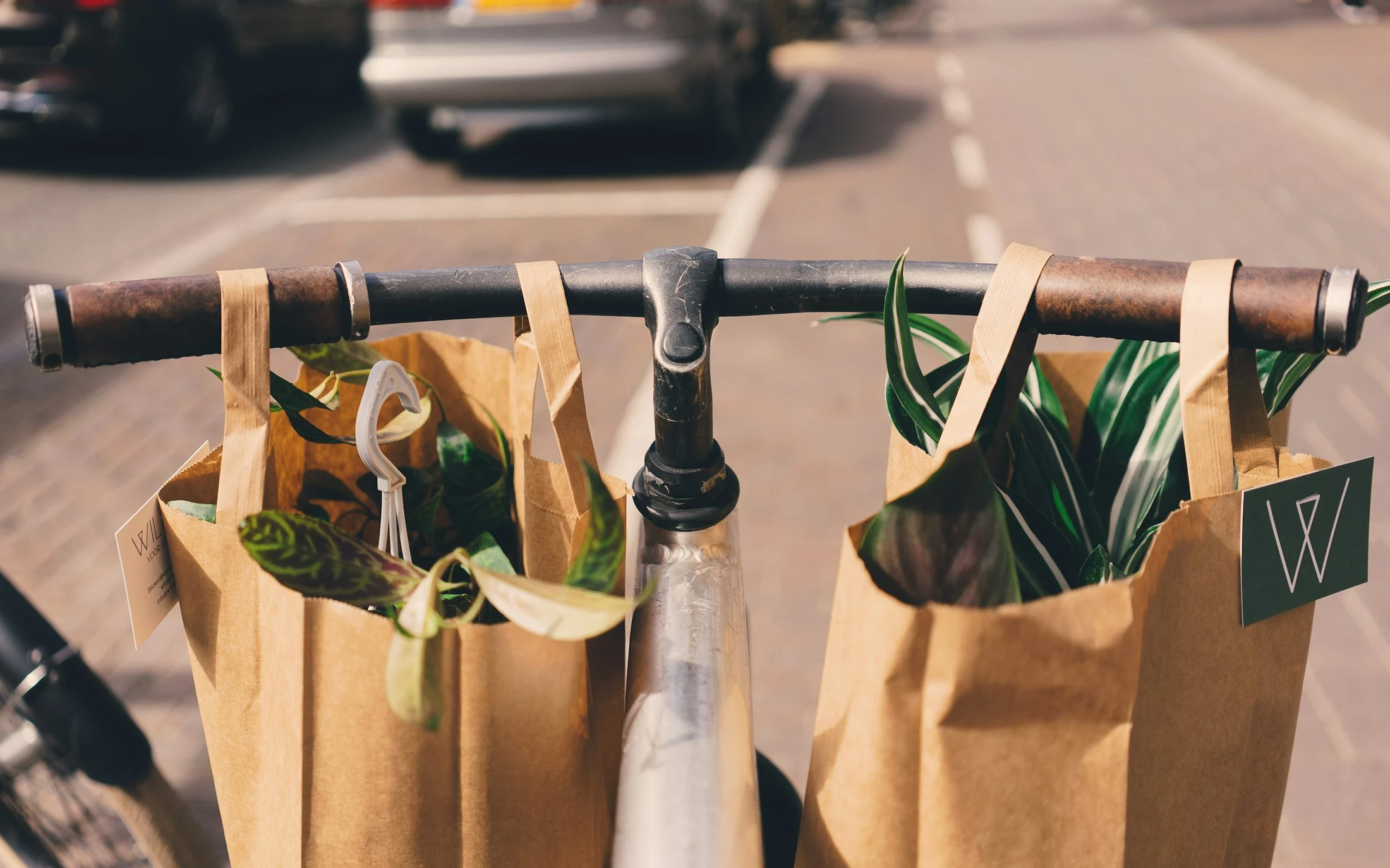 Paper shopping bags hanging beside a bicycle